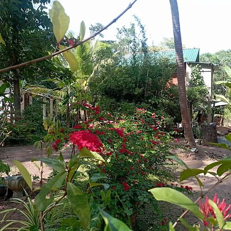 Sanjana Home Stay Habarana Εξωτερικό φωτογραφία