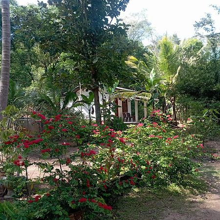 Sanjana Home Stay Habarana Εξωτερικό φωτογραφία