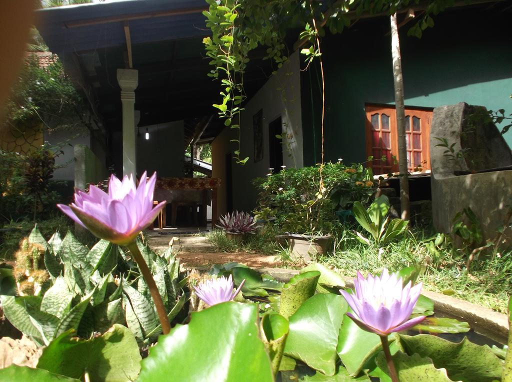 Sanjana Home Stay Habarana Εξωτερικό φωτογραφία