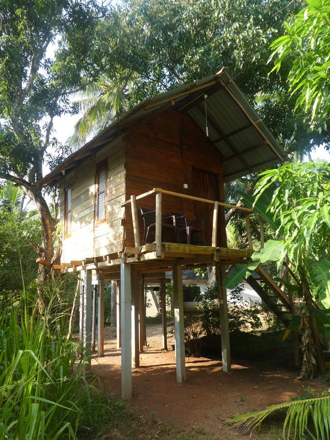 Sanjana Home Stay Habarana Εξωτερικό φωτογραφία