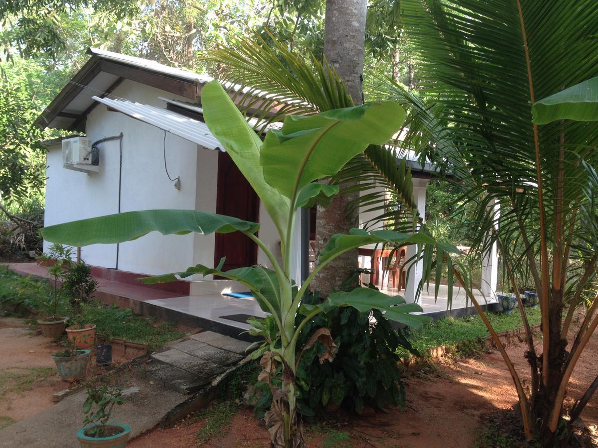 Sanjana Home Stay Habarana Εξωτερικό φωτογραφία