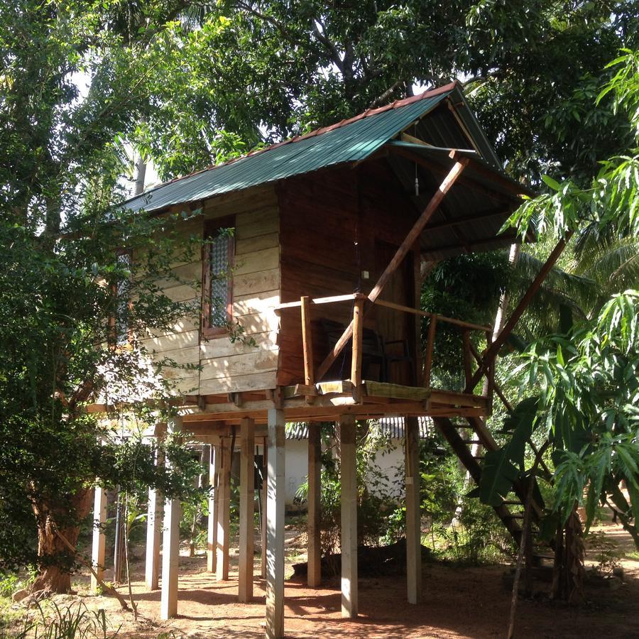 Sanjana Home Stay Habarana Εξωτερικό φωτογραφία